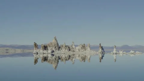 Mammoth Stock. 4 Stock Footage 194395604
