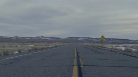 Mammoth Stock Stock Footage 194395750