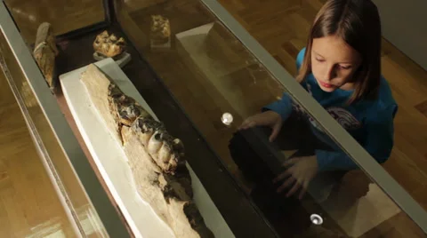 Mammoth Teeth Stock Footage 33067341