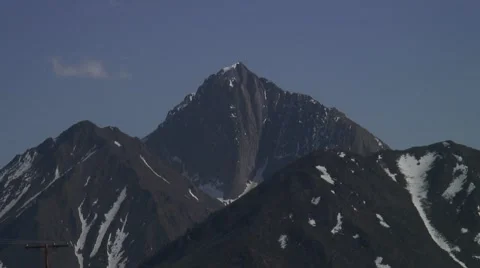 Mammoth various Stockbeeldmateriaal 1020027