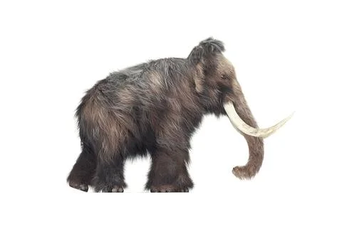 Mammoth on white background. Stock-Illustration