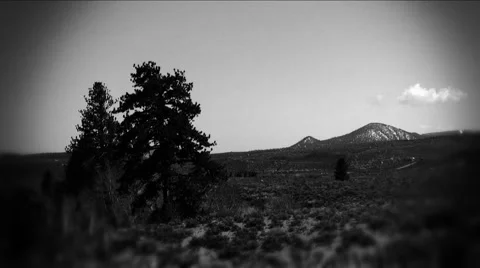 Mammoth wilderness Stock Footage 1020032