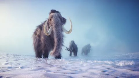 Mammoth in a winter landscape Stock Illustration
