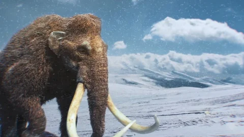 Mammoths walk in Ice Age Storm Animation Stock Footage