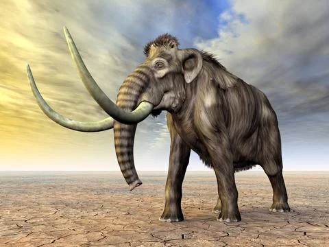  Mammut Computergenerierte 3D Illustration mit einem ausgestorbenen Mammut... Stock Photos