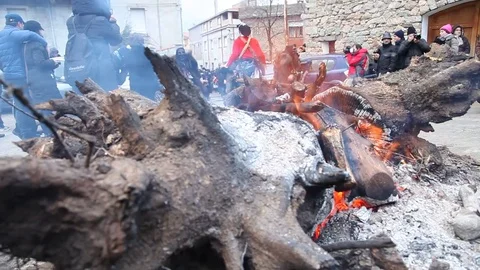 MAMUTHONES 22 Stock Footage 81805419