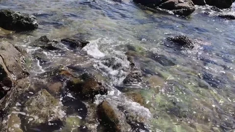 Mamutik Island15 Stock Footage 339618622