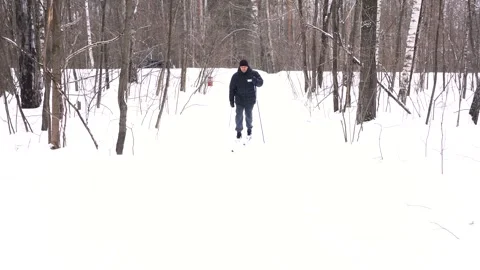 Man 50 years old skiing in the forest in winter Stock Footage 243500666