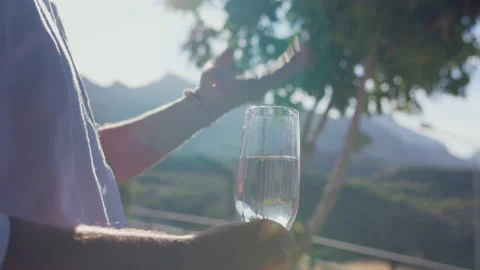 Man actively gesturing while talking and holding a glass of wine Stock Footage 307783687