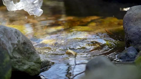 Man activist clean up plastic waste in a river Stock Footage 236882901