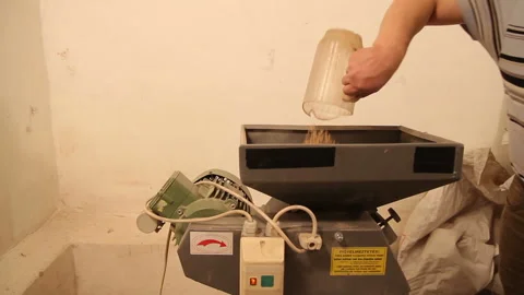 Man add malt to grind out of the bag to the mill. Grinding of malt for producing 動画素材 87898260