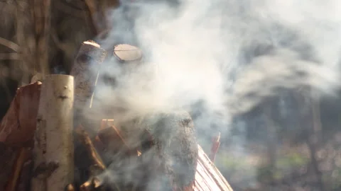 Man adding branches to grill fire, close-up, forest background, spring light Video stock 332556553