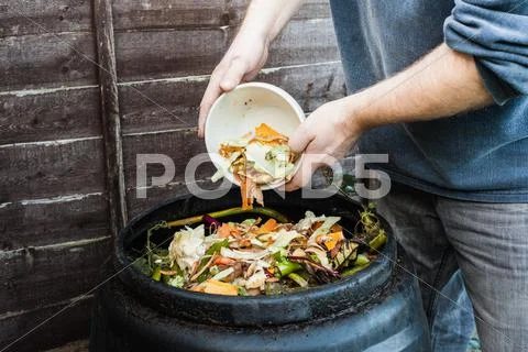 Man Adding To Compost Bin Outdoors