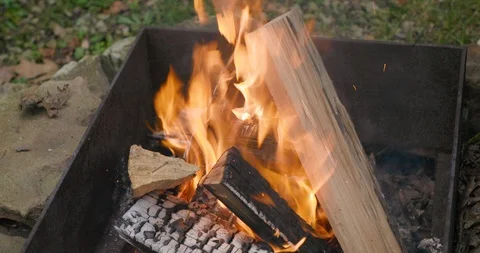 Man Adding Cut Logs to Campfire in Fire Pit at Family Campground 動画素材 111983379
