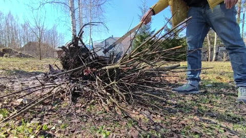 Man Adding Dry Branches to a Backyard Bonfire, Spring Garden Cleanup 스톡 동영상 332636484