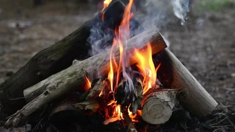 Man adding a firewood log to the burning campfire close up 库存影片 345121993