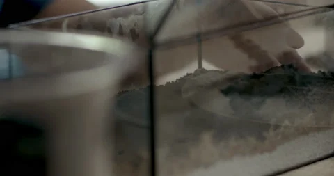 Man adding grey rocks into clear glass container to shape terrarium base Video stock 232091456