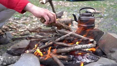 Man Adding Logs to Campfire Video stock 303664831