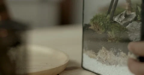 Man adding moss into clear glass container to shape terrarium Stock Footage 237657679