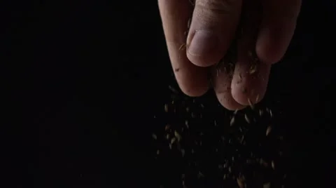 Man adds some brown seasoning against black background. Super slow motion shot Stock Footage