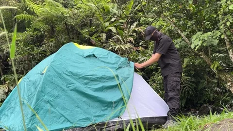 Man Adjusting Camping Tent Rainfly in Forest by Stream, Medium Shot Stock Footage 323675997