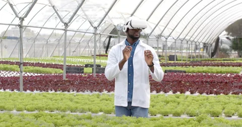 Man adjusting VR headset while using hand gestures for greenhouse hydroponic Video stock 314736150
