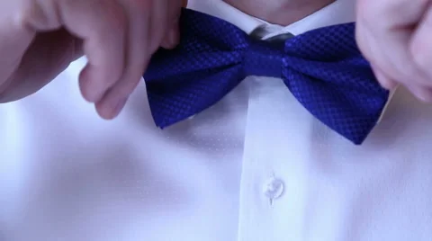 Man adjusts blue bow-tie around the neck Stock Footage 50530751