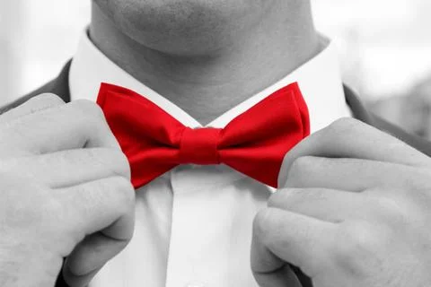 Man adjusts red bow tie with hands. Stock Photos