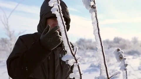 A man admires the tree in the snow Stock Footage 71584662