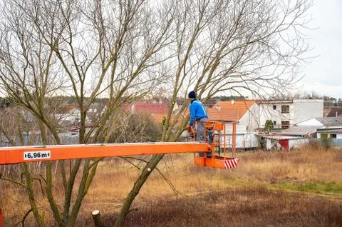 Man on aerial platform pruning branches of tree with chainsaw Stock Photos