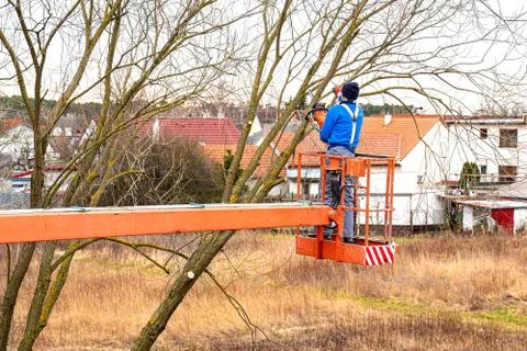 Man on aerial platform pruning branches of tree with chainsaw 写真素材