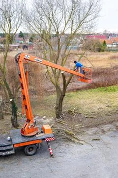 Man on aerial platform pruning branches of tree with chainsaw Stock Photos