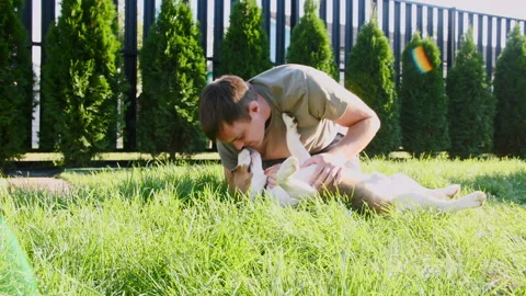 Man Affectionately Playing with Pet Cute Dog Beagle at Grass Outdoors in a Green Stock Footage 167167975