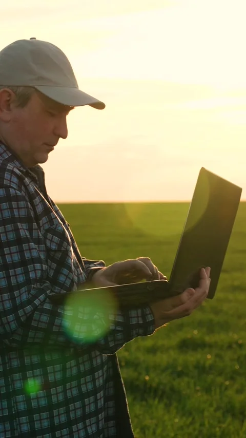 Man agricultural engineer with laptop going on green wheat plantation inspecting Stock Footage 295252963
