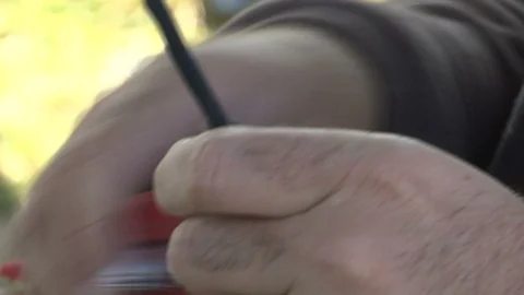 A man analyzes a small bird in his hands Stock Footage 116093004
