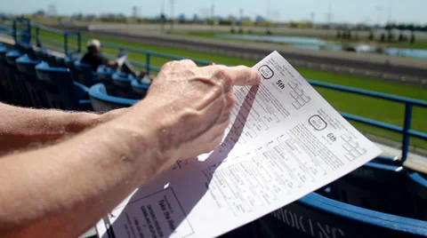 Man Analyzing Odds Stock Footage 37995147