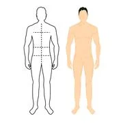 Man Anatomy Silhouette Size. Human Body Full Measure Male Figure