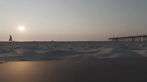 Man and bird walking on the beach. Stock Footage 283575345