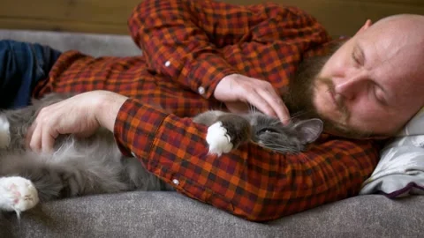 Man and cat are napping on couch. Man with beard caresses a gray cute kitten Stock Footage 223524643