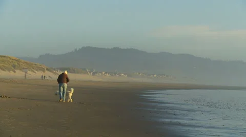 Man and dog on beach Stock Footage 1054123