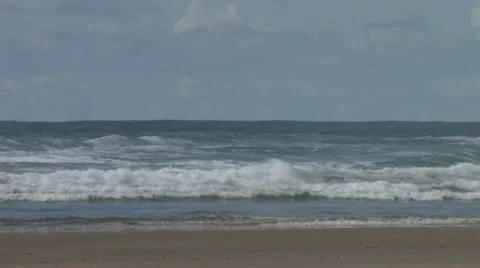 Man and Dog on Beach Stock-Footage 10560434