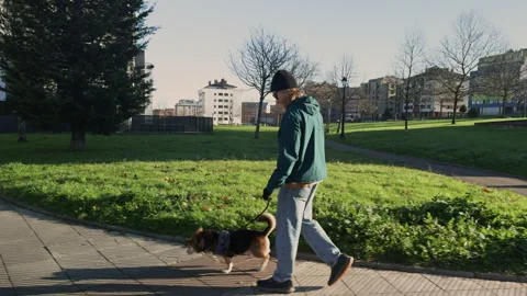 Man and dog exploring beautiful streets of Oviedo Spain. Stock-Footage 338029848