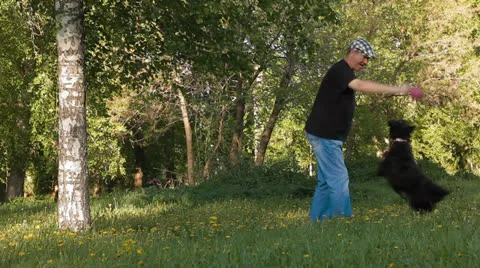 Man and dog Stock Footage 24586965