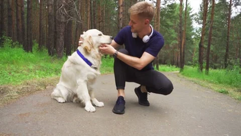 Man and dog in the park Stock Footage 221398053