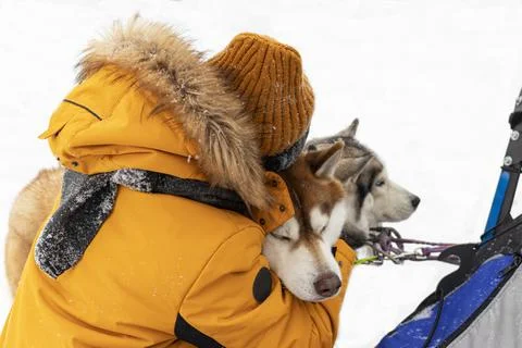 Man and dog. Stock Photos