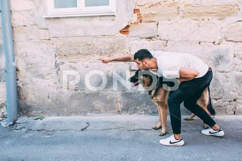 Man and dog posing on the street Stock Photos