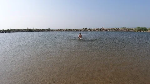 Man and dog on the river Video stock 114136457