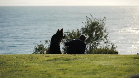 Man and Dog si Stock Footage 88638640