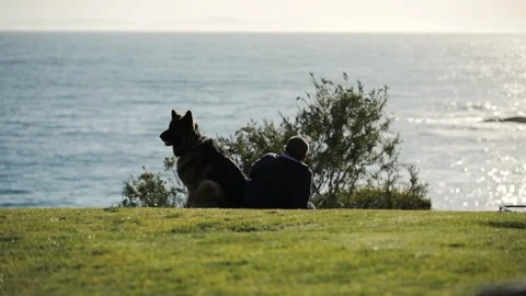 Man and Dog sitting on bluff watching ocean Stock Footage 88638609