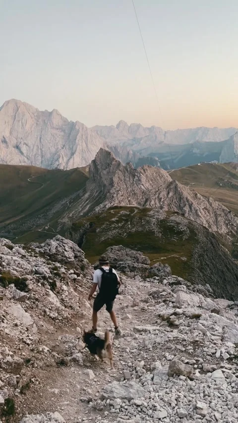 Man and Dog Walking Down Rocky Path Video stock 329775902